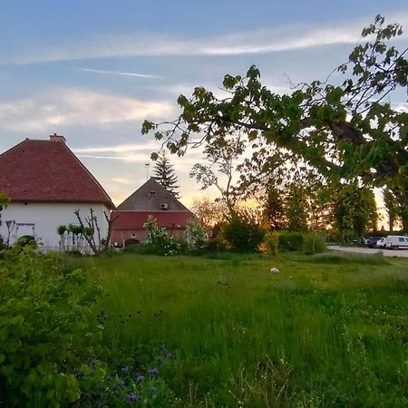 Domaine Ravy-Lilas Saint-Symphorien-sur-Saone Kültér fotó
